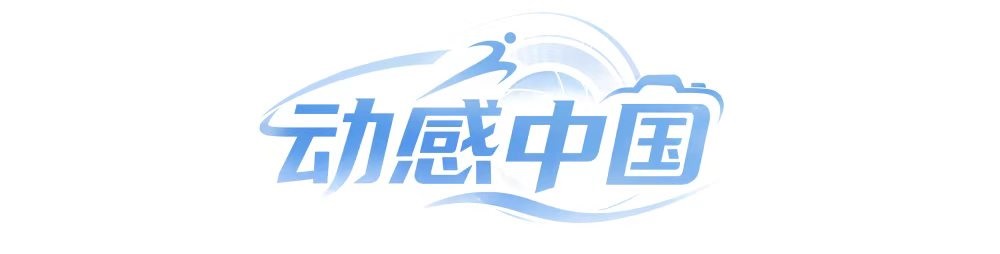 AG贵宾厅介绍图片